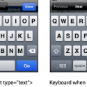 input-type-email